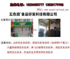 小吃技術配方轉讓 從街頭美味到創業財富的指南